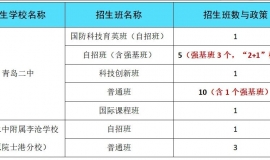 2024年青岛二中科技特长生政策概览